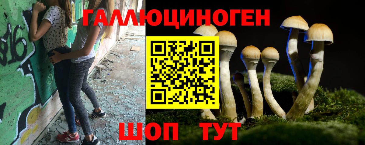 Новоалександровск  Псилоцибиновые грибы Psilocybe  Вход с VPN 